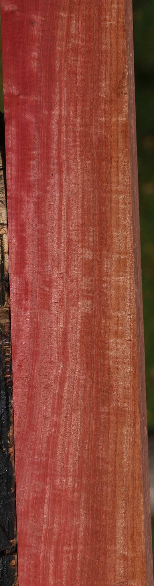 Extra Fancy Pink Ivory Lumber