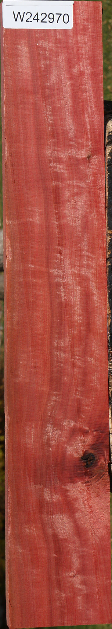 Extra Fancy Pink Ivory Micro Lumber