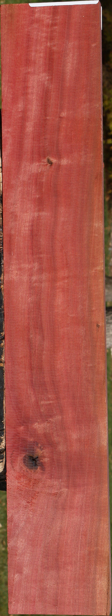 Extra Fancy Pink Ivory Micro Lumber