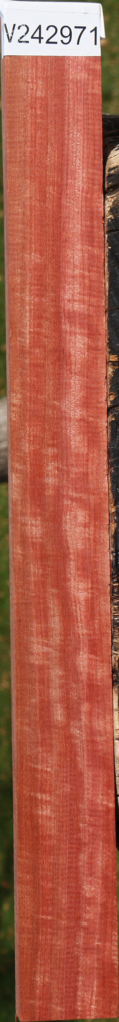 Extra Fancy Pink Ivory Lumber