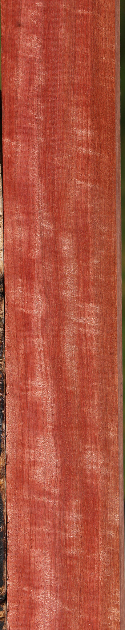 Extra Fancy Pink Ivory Lumber