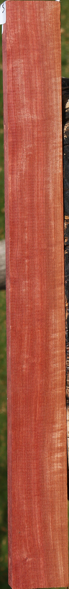 Extra Fancy Pink Ivory Lumber