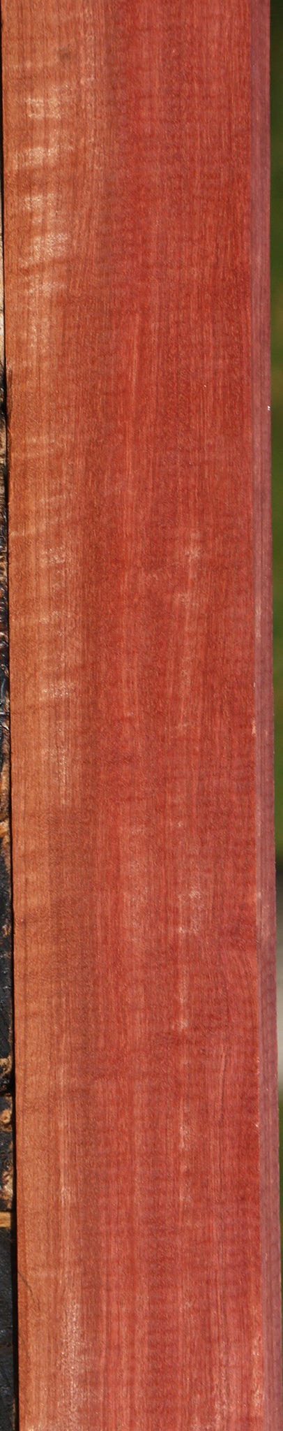 Extra Fancy Pink Ivory Lumber