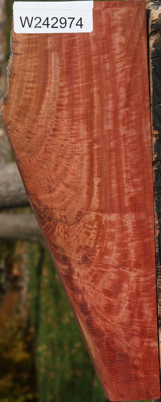 Extra Fancy Crotchwood Pink Ivory Lumber