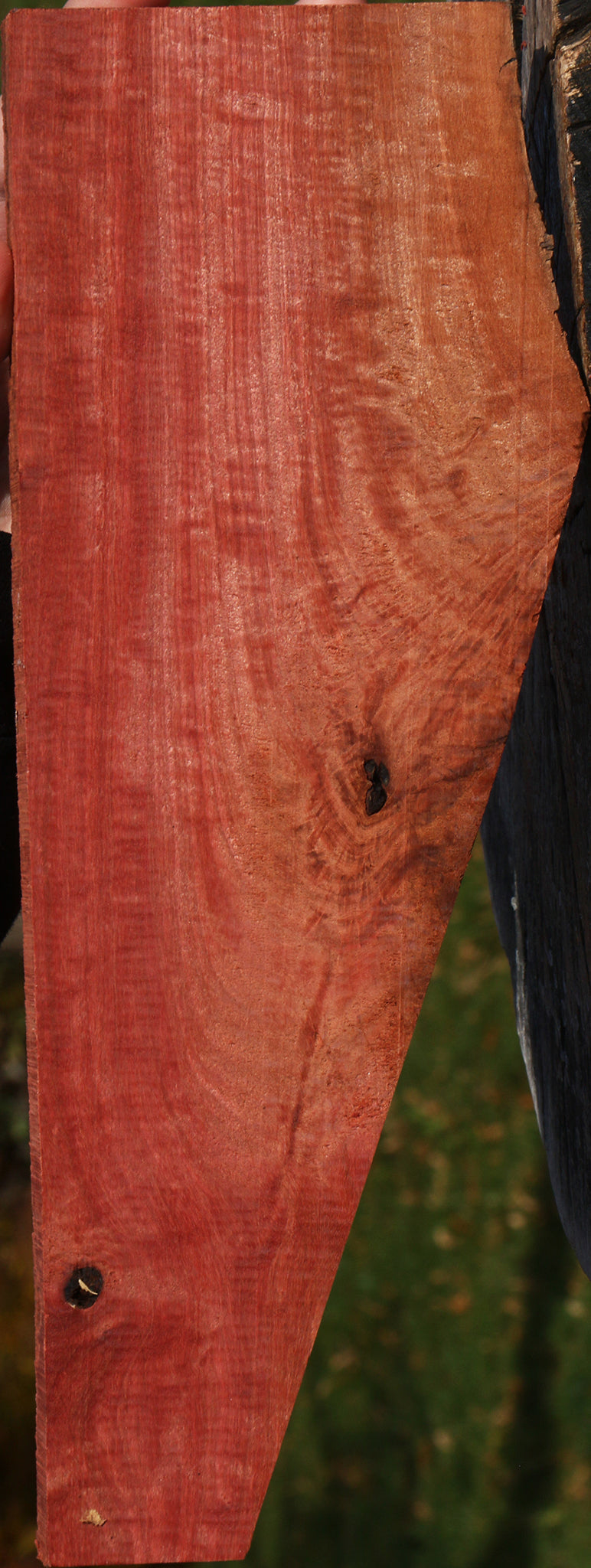 Extra Fancy Crotchwood Pink Ivory Lumber