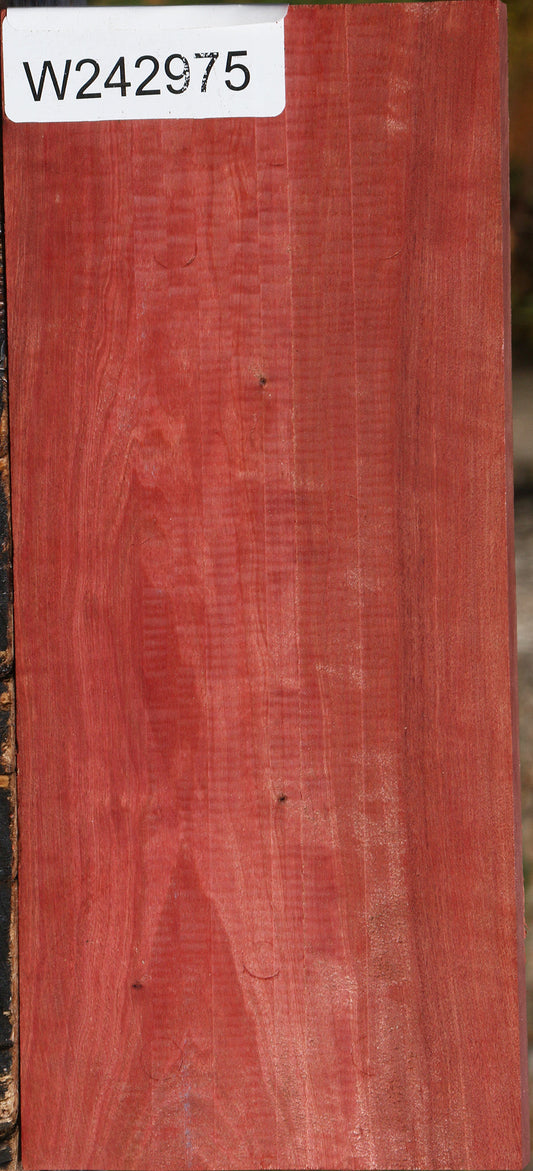 Figured Pink Ivory Lumber