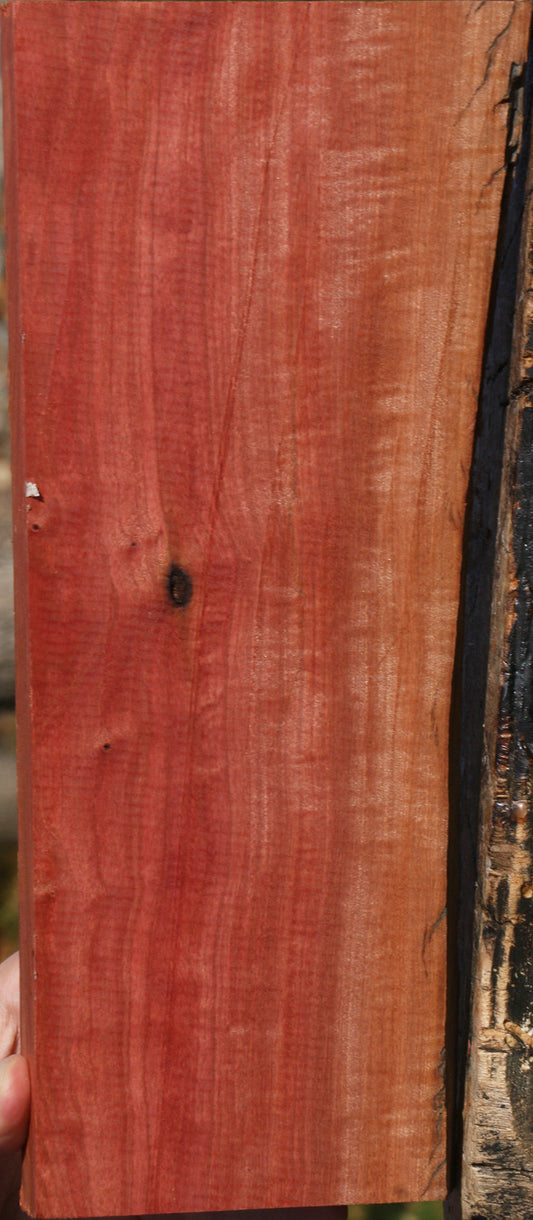 Extra Fancy Pink Ivory Live Edge Lumber