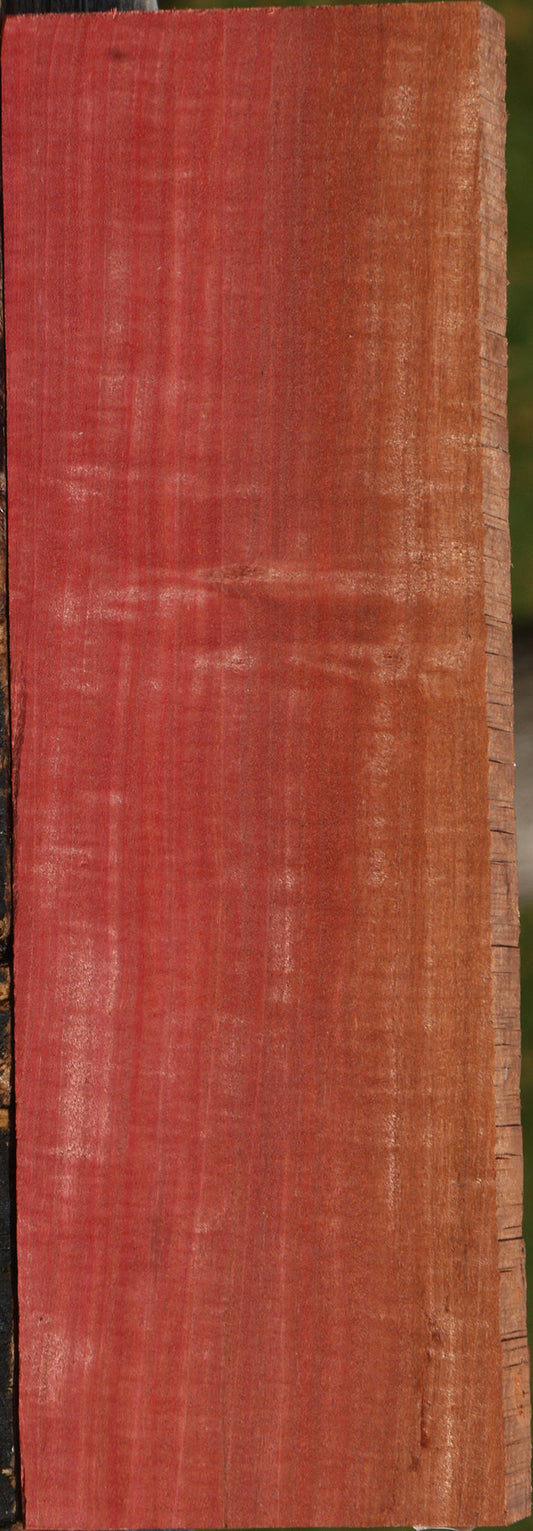 Extra Fancy Pink Ivory Lumber