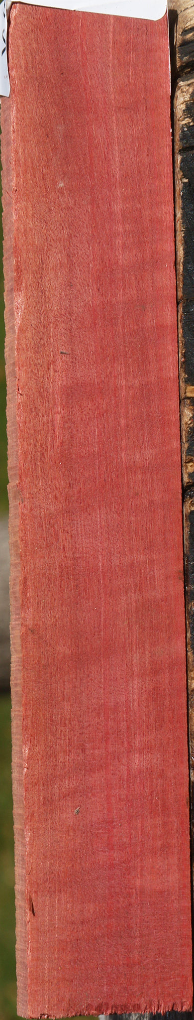 Figured Pink Ivory Lumber