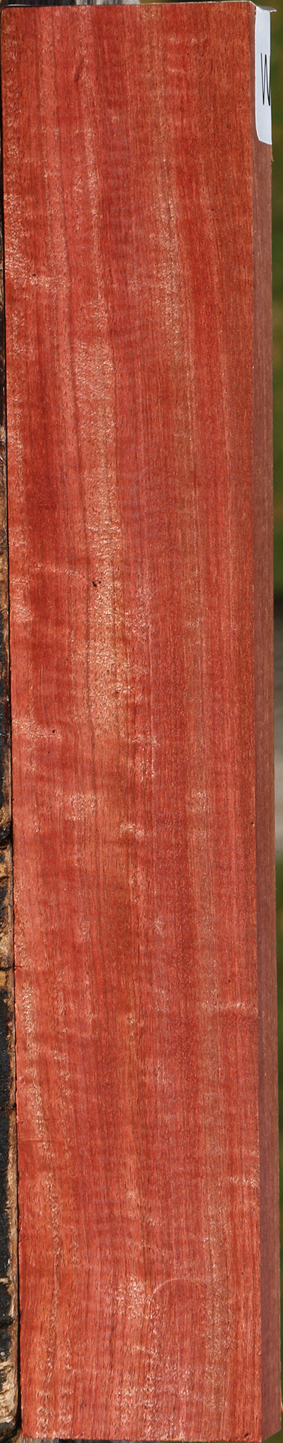 Extra Fancy Pink Ivory Lumber