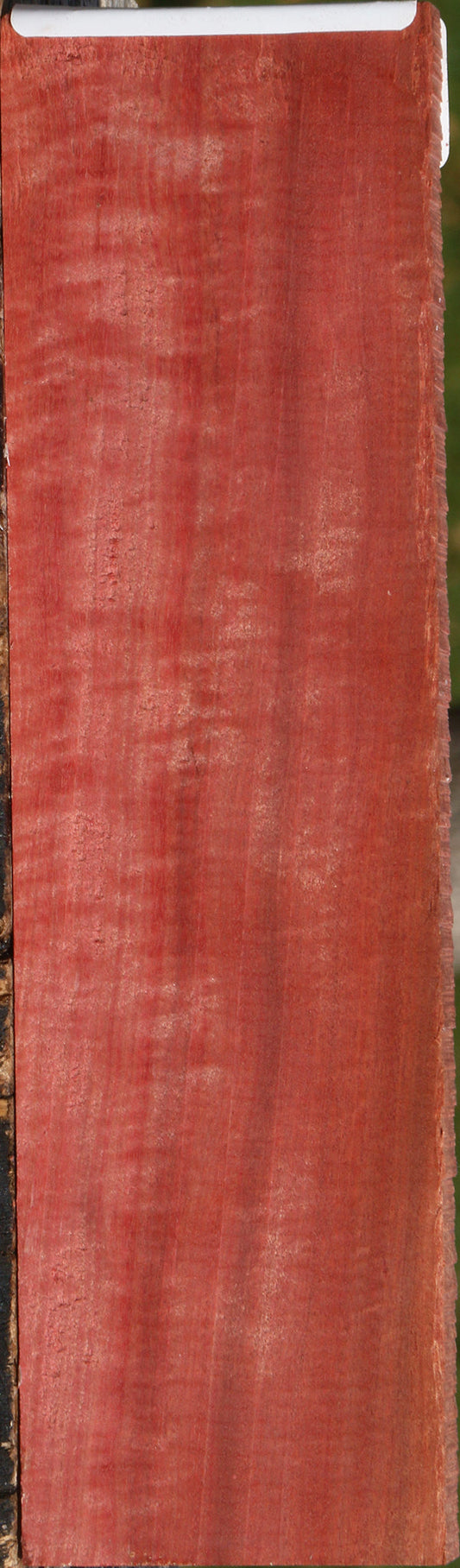 Extra Fancy Pink Ivory Micro Lumber