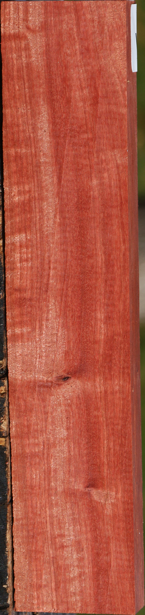 Figured Pink Ivory Lumber