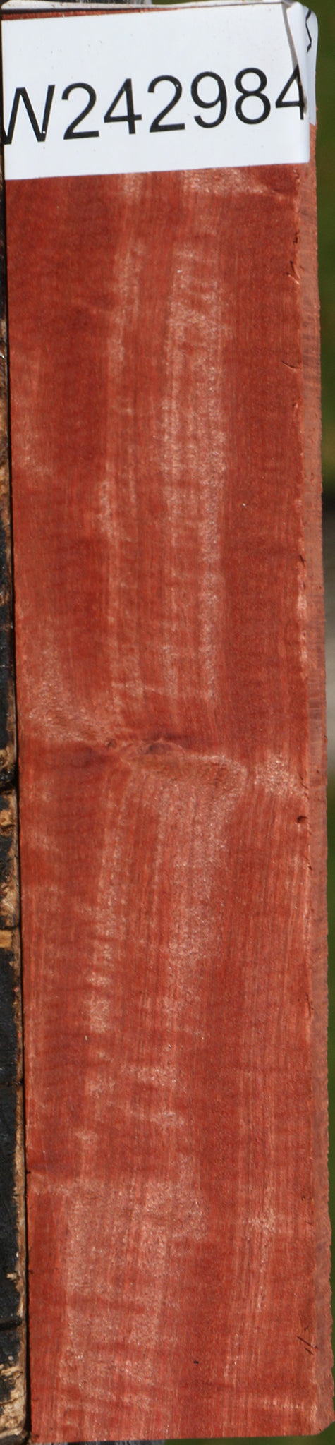 Figured Pink Ivory Lumber