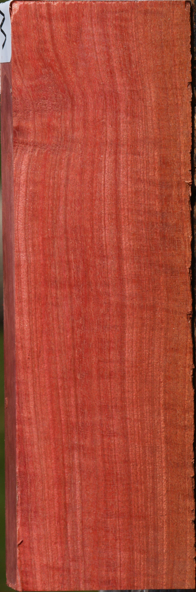 Extra Fancy Pink Ivory Lumber