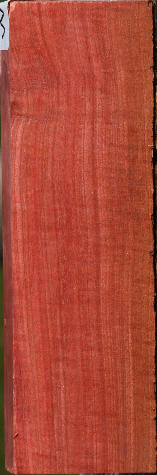 Extra Fancy Pink Ivory Lumber