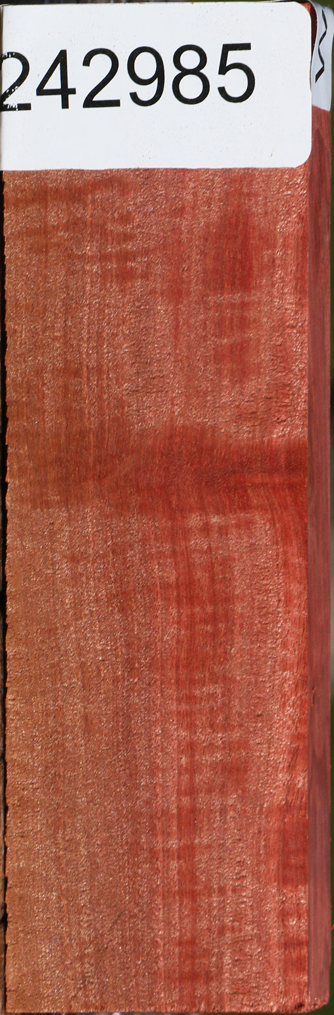 Extra Fancy Pink Ivory Lumber