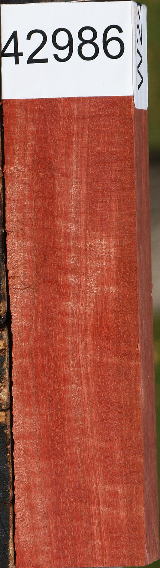 Extra Fancy Pink Ivory Lumber