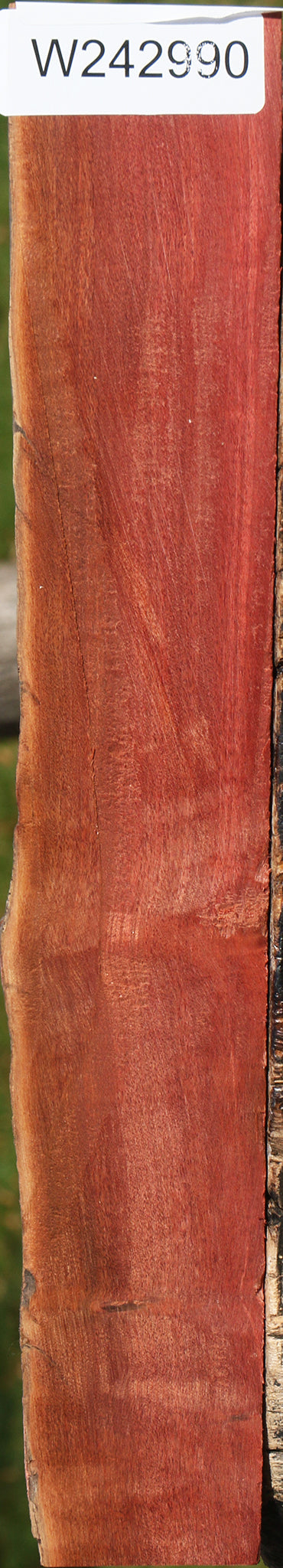 Pink Ivory Live Edge Lumber