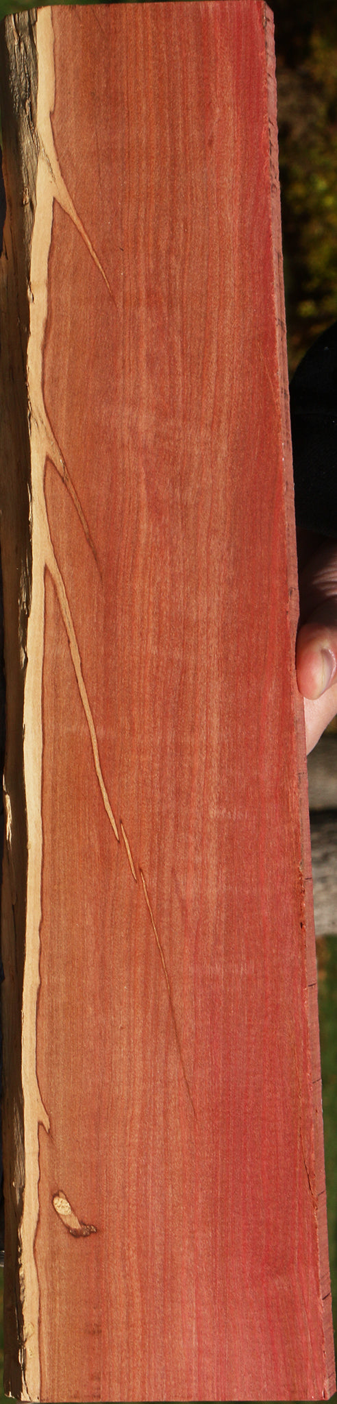 Pink Ivory Live Edge Lumber