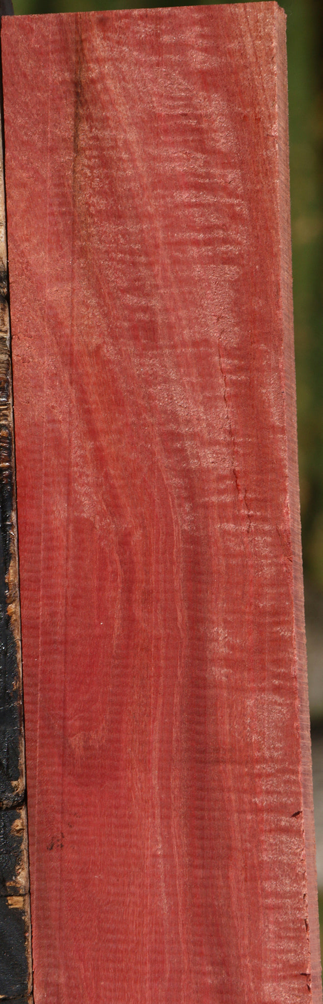 Extra Fancy Pink Ivory Lumber