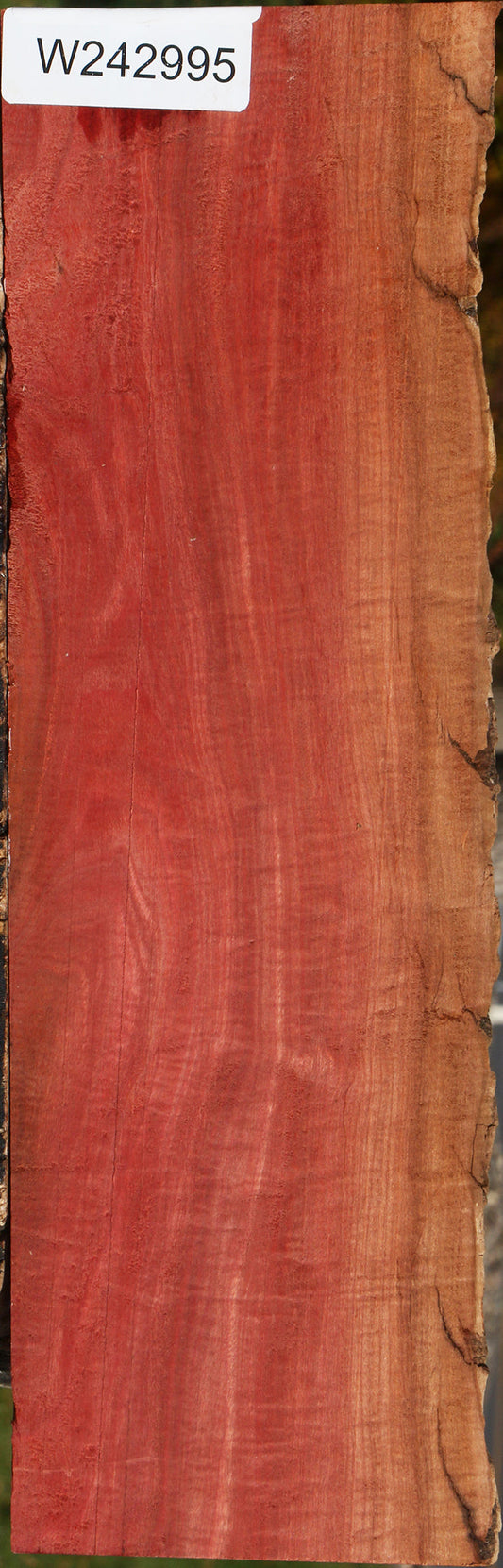 Extra Fancy Pink Ivory Live Edge Lumber
