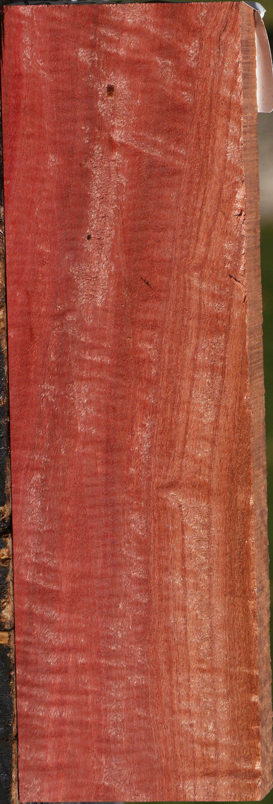 Extra Fancy Pink Ivory Lumber