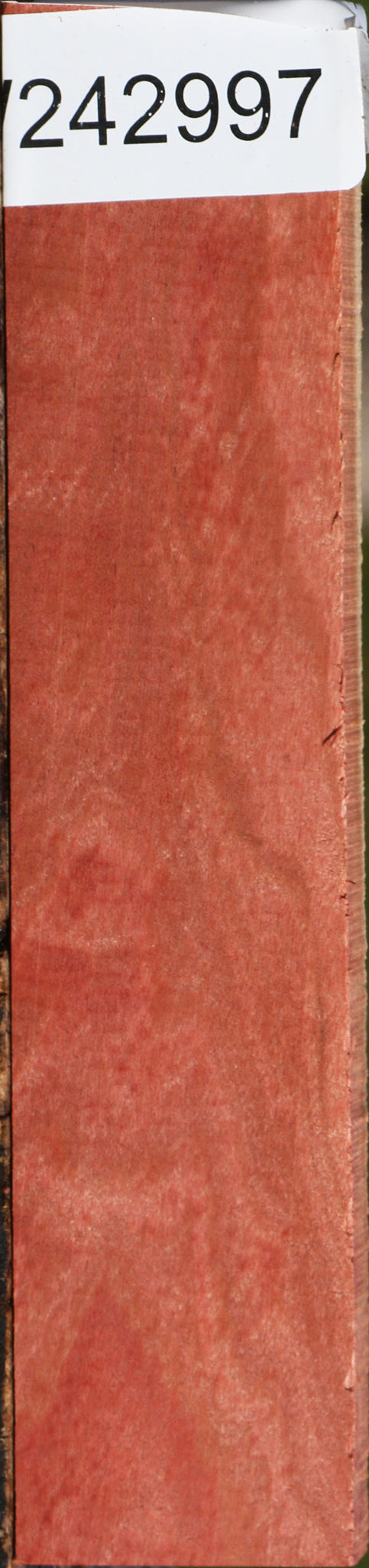 Figured Pink Ivory Lumber