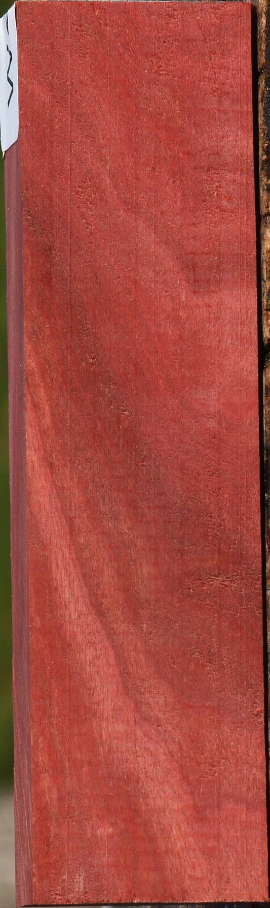 Pink Ivory Lumber