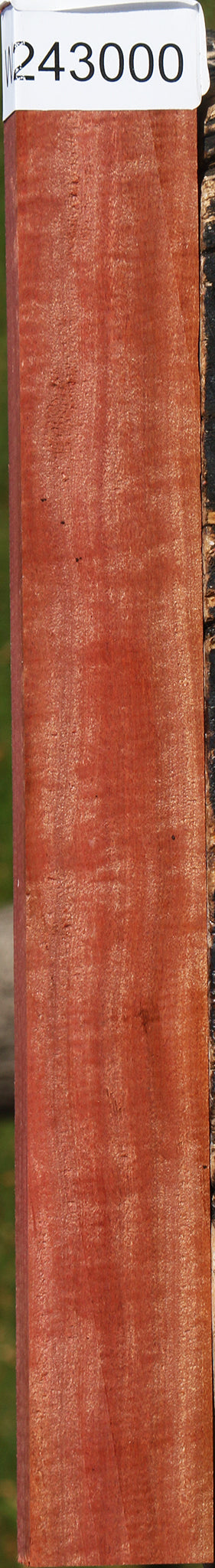 Figured Pink Ivory Micro Lumber