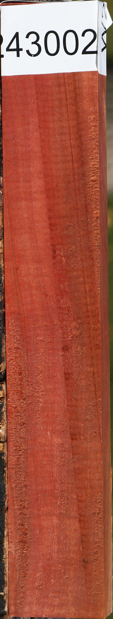 Extra Fancy Pink Ivory Micro Lumber