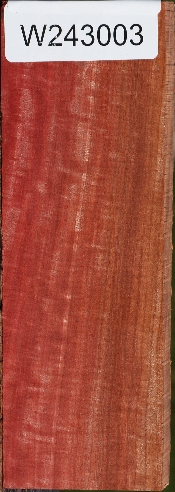 Extra Fancy Pink Ivory Lumber