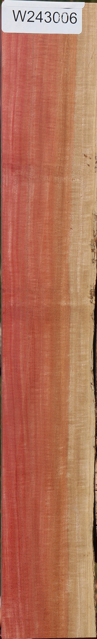 Extra Fancy Pink Ivory Live Edge Lumber