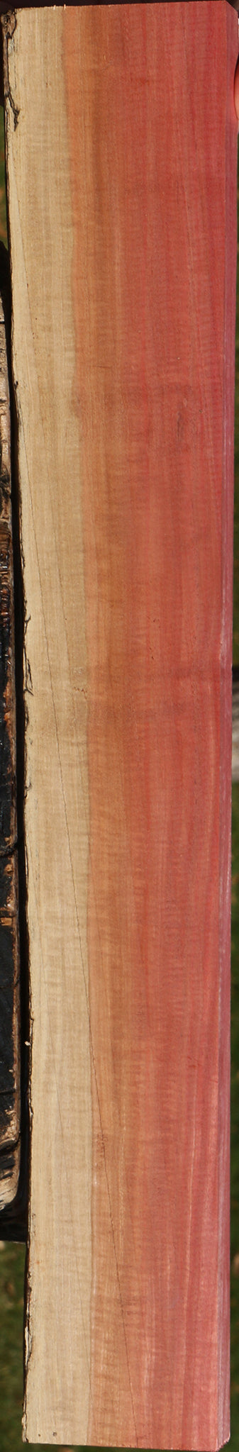 Extra Fancy Pink Ivory Live Edge Lumber