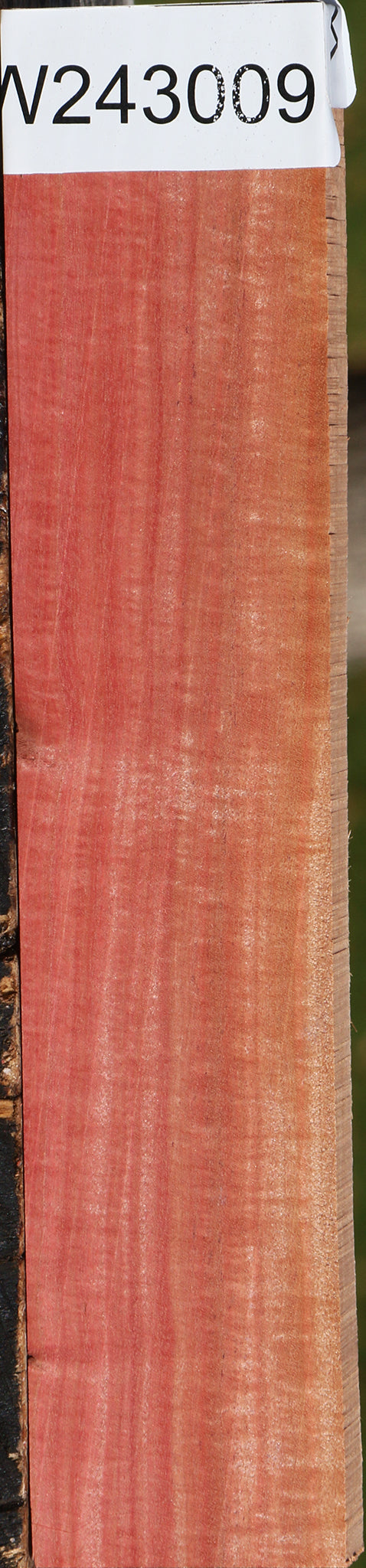 Extra Fancy Pink Ivory Lumber