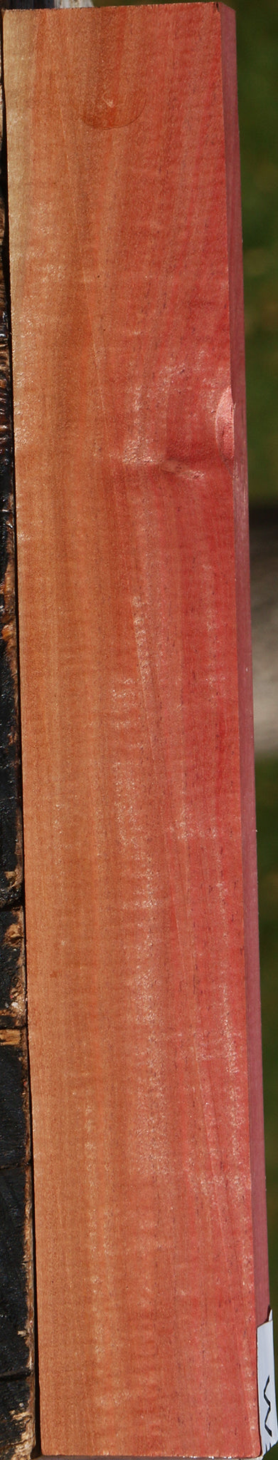 Extra Fancy Pink Ivory Lumber