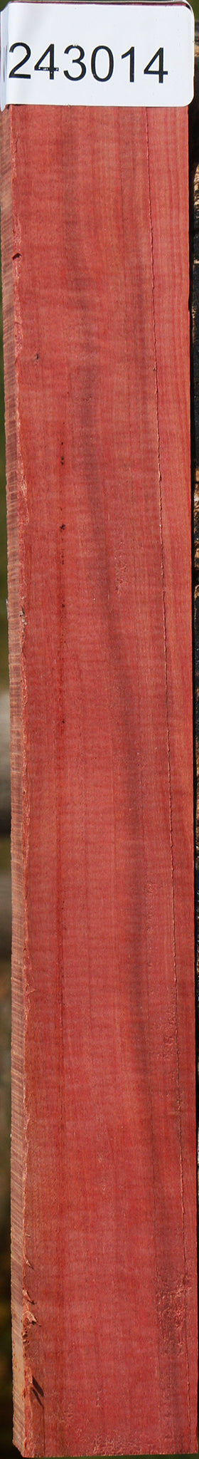 Extra Fancy Pink Ivory Lumber