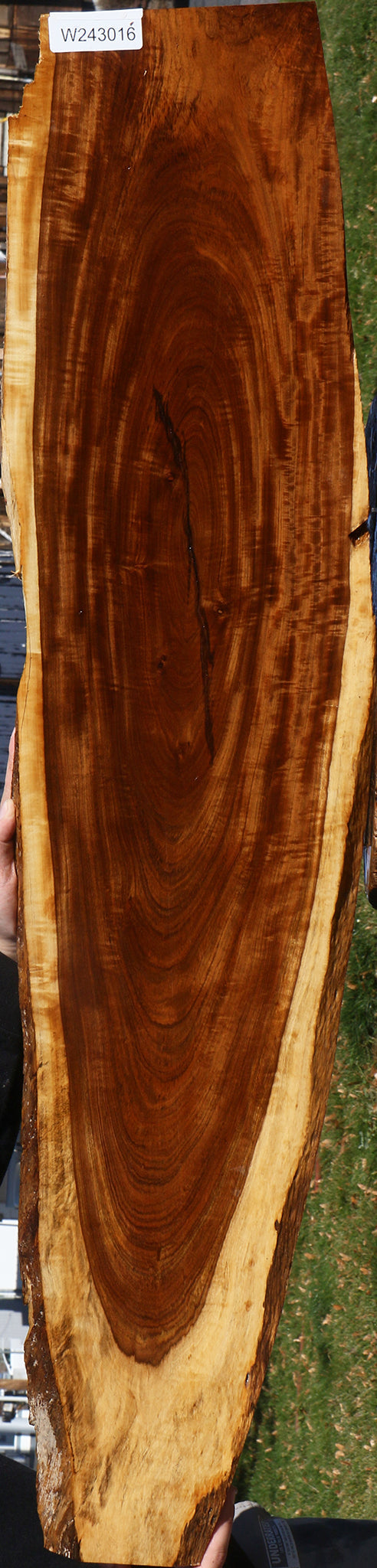 Figured Tamboti Live Edge Lumber