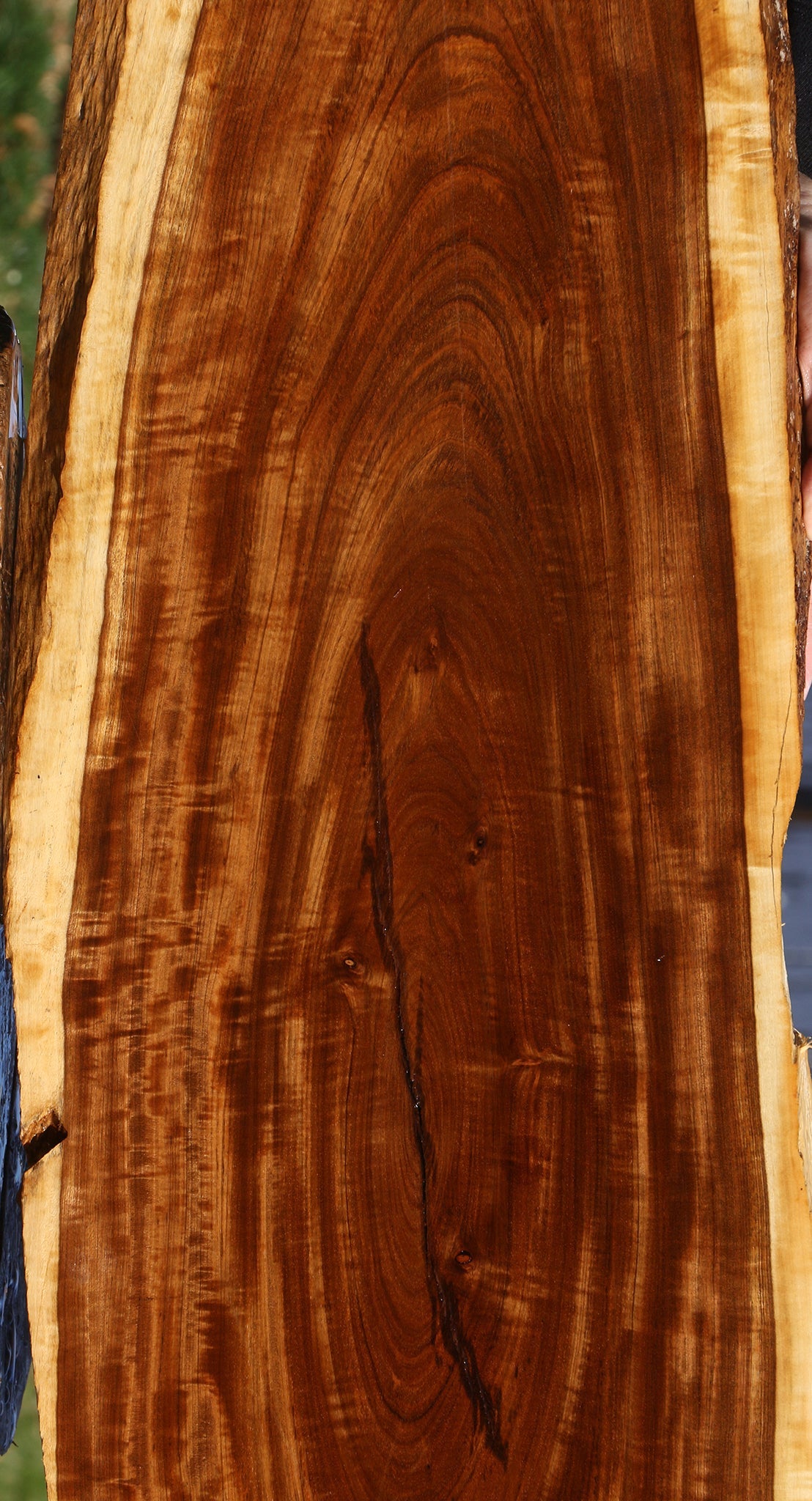 Figured Tamboti Live Edge Lumber