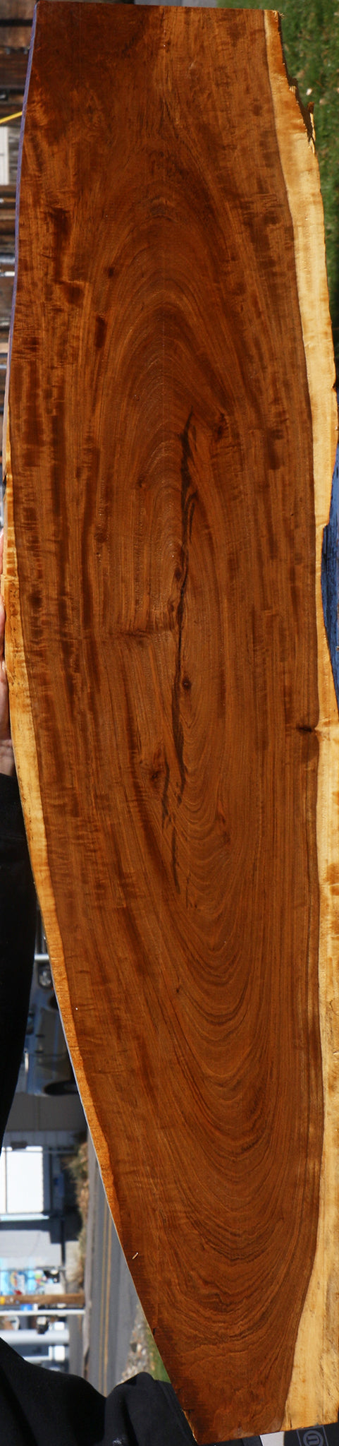 Figured Tamboti Live Edge Lumber