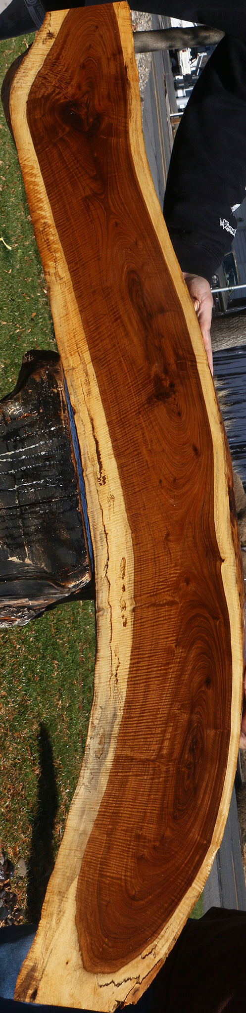 Exhibition Tamboti Live Edge Lumber