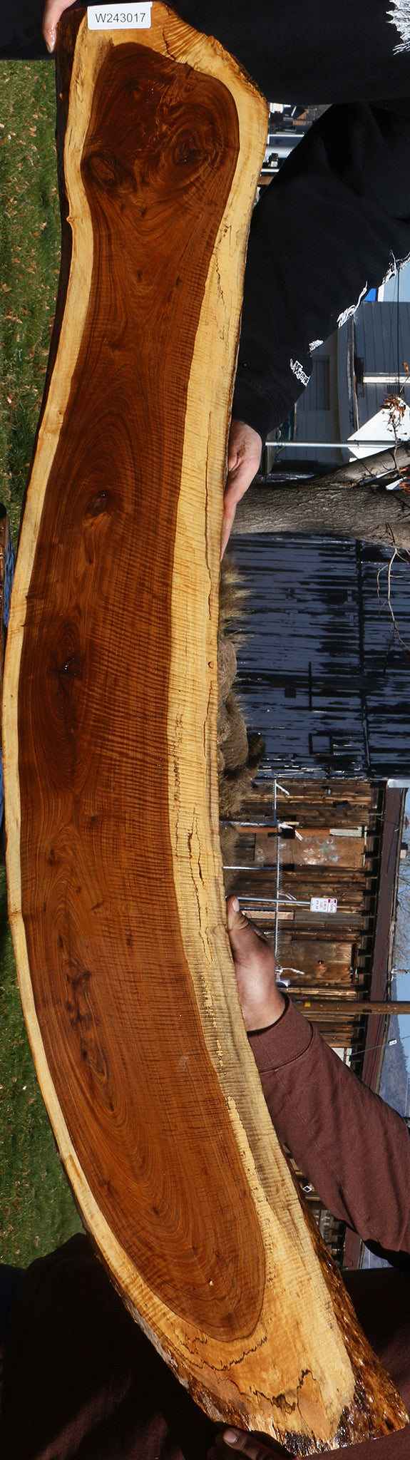 Exhibition Tamboti Live Edge Lumber