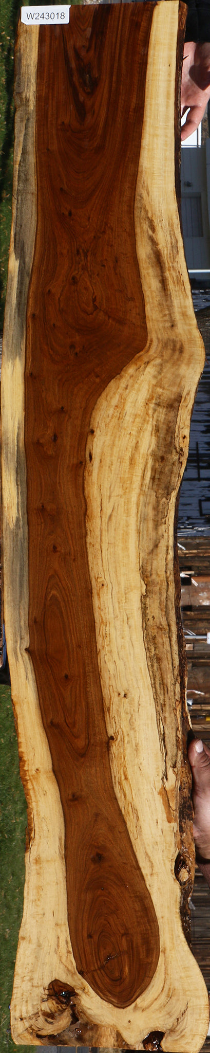 Figured Tamboti Live Edge Lumber