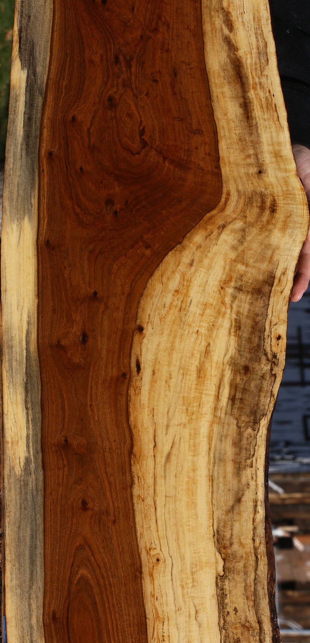 Figured Tamboti Live Edge Lumber