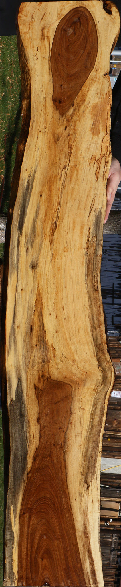 Figured Tamboti Live Edge Lumber