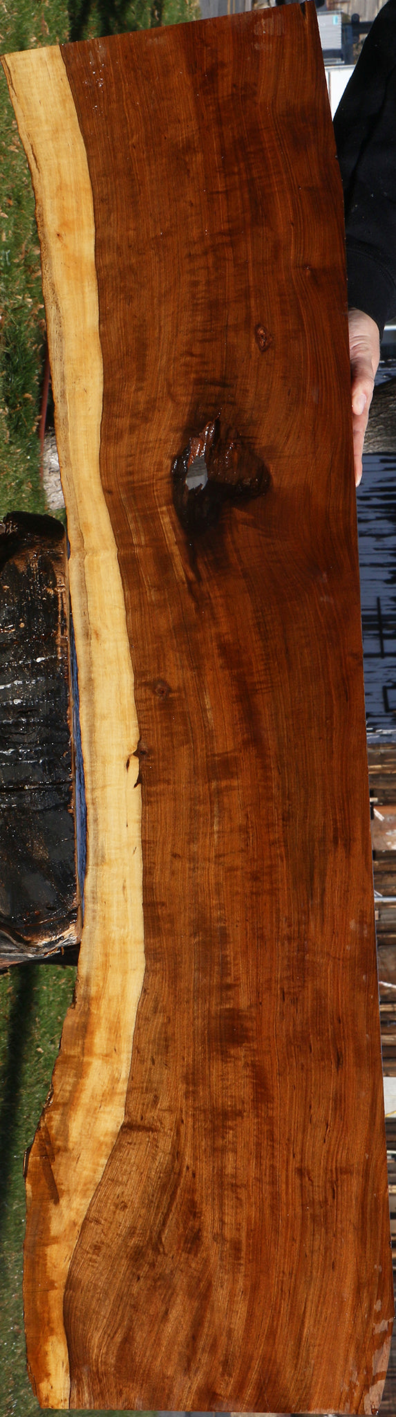 Extra Fancy Tamboti Live Edge Lumber