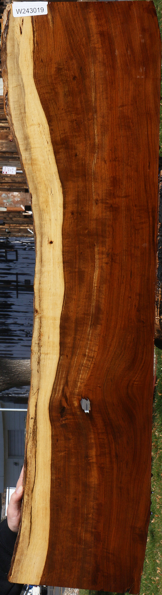 Extra Fancy Tamboti Live Edge Lumber