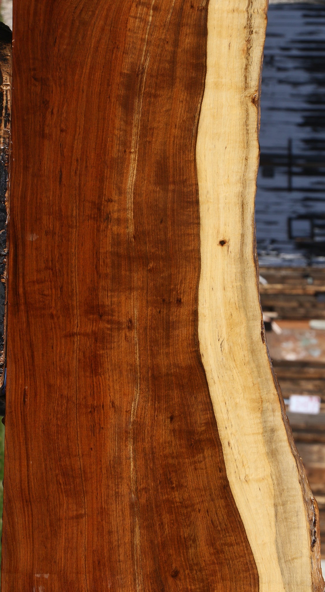 Extra Fancy Tamboti Live Edge Lumber