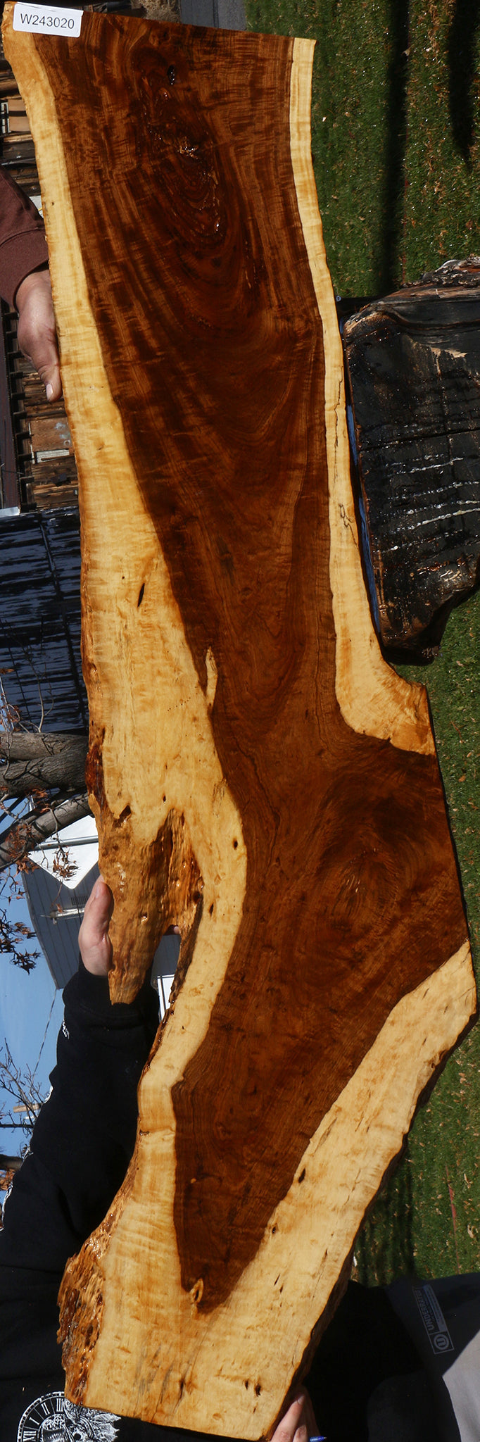 Extra Fancy Tamboti Live Edge Lumber