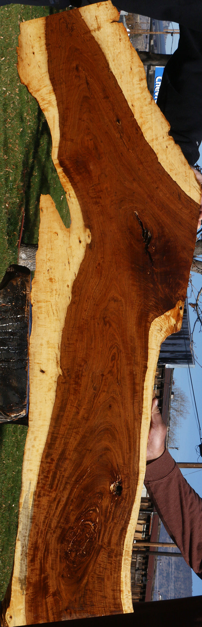 Extra Fancy Tamboti Live Edge Lumber