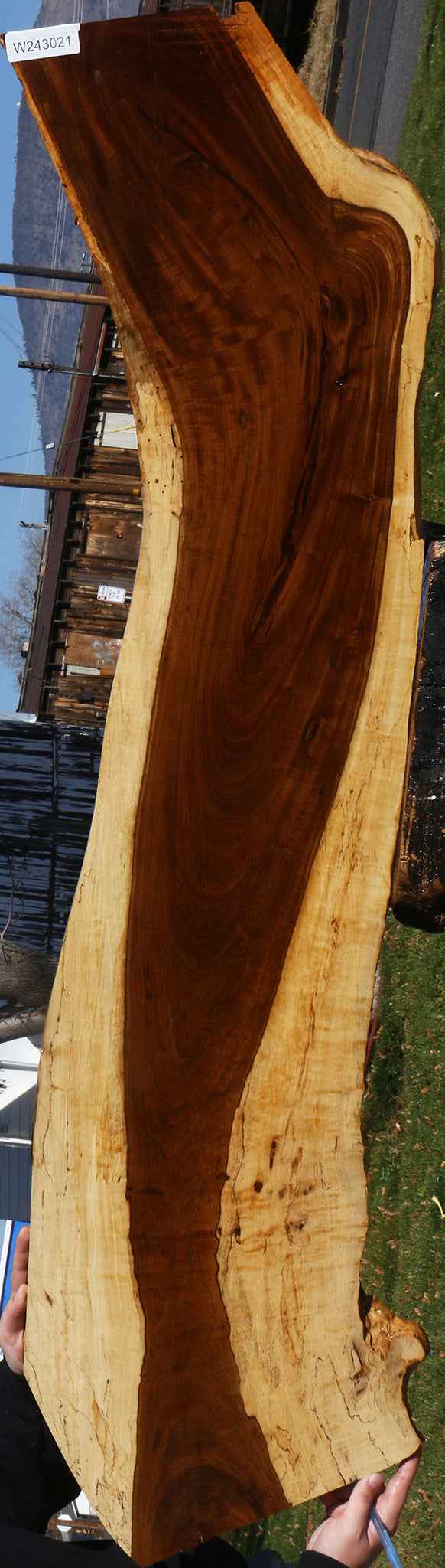 Extra Fancy Tamboti Live Edge Lumber